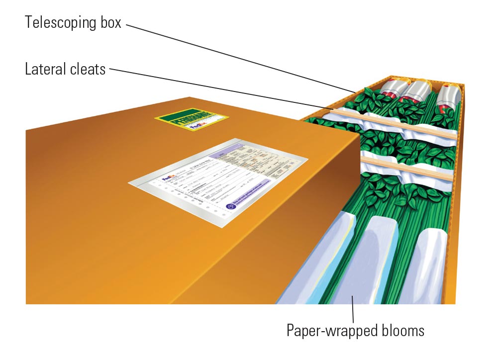 Packaging bulk flower shipments