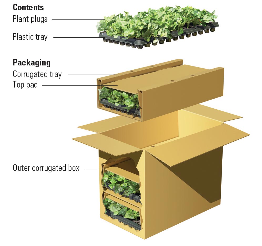 Packaging plant seedlings and plugs