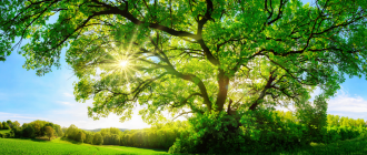 Green Logistics Innovation Is Driving Change Across APAC