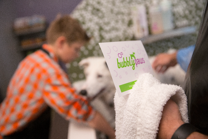Pet grooming store postcard A customer looking at a pet grooming store postcard