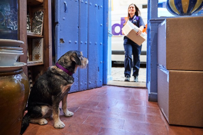 FedEx woman delivery woman and dog