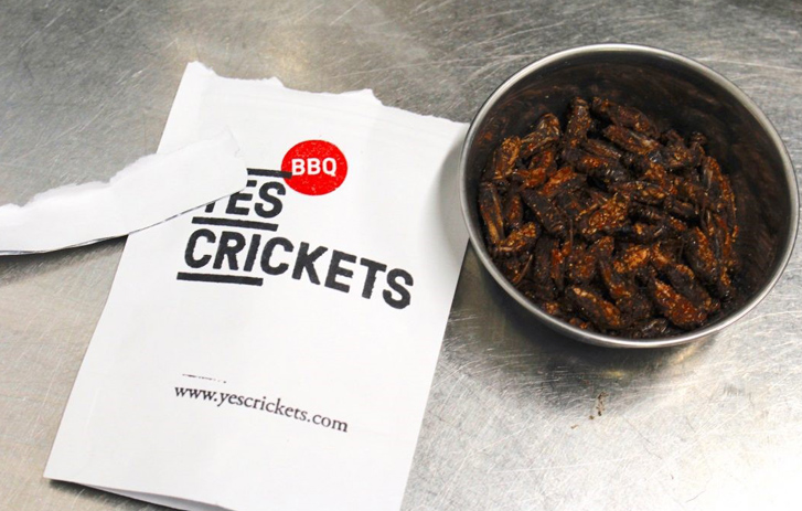 Yes Crickets