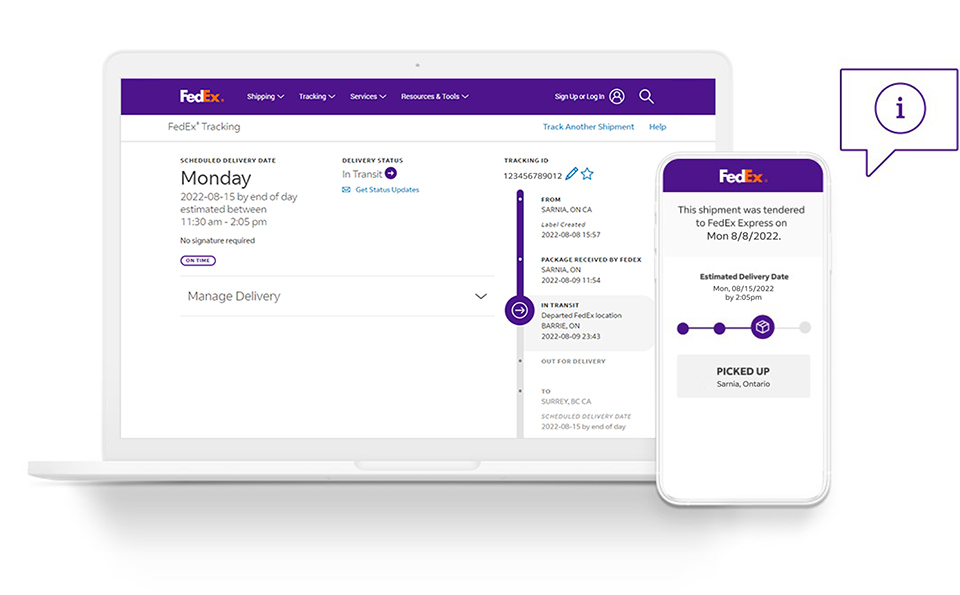 Annie Perkins Buzz: Fedex Uk Track Parcel