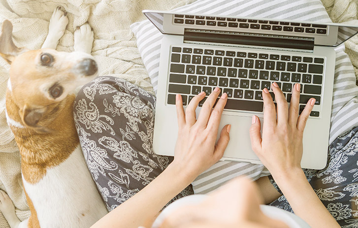 woman using laptop