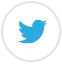 twitter icon