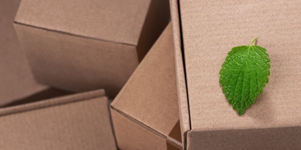 Stacked brown cardboard boxes with a green leaf on top, suggesting eco-friendly packaging. 