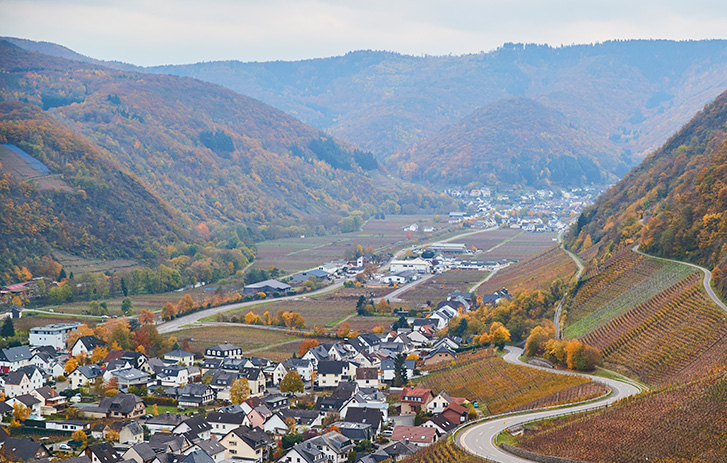 Spotlight on… Germany
