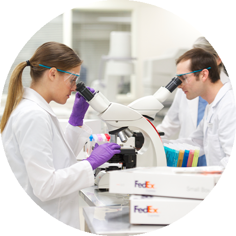 Dois técnicos de laboratório a observar microscópios com caixas da FedEx por perto