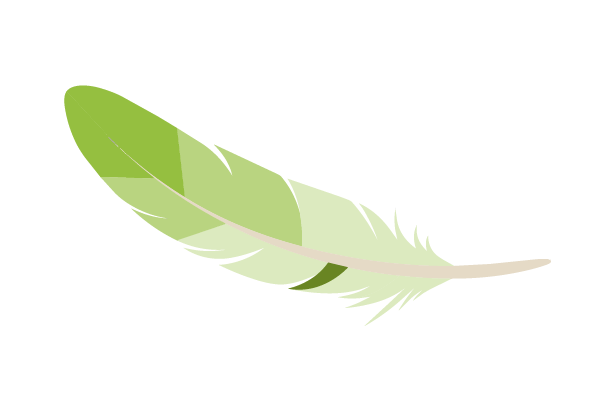 Illustration of a feather of varying shades of green