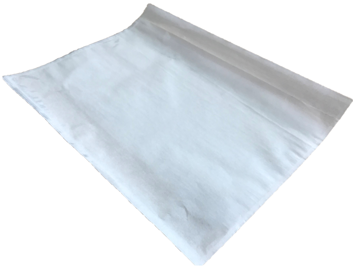 FedEx Large Pouch