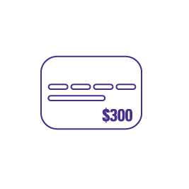 Card 300