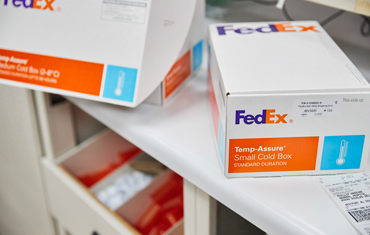 Fedex Express Delivery Courier Shipping Services Argentina