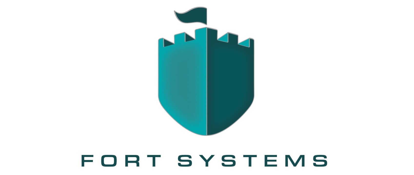 Fort Systems logo
