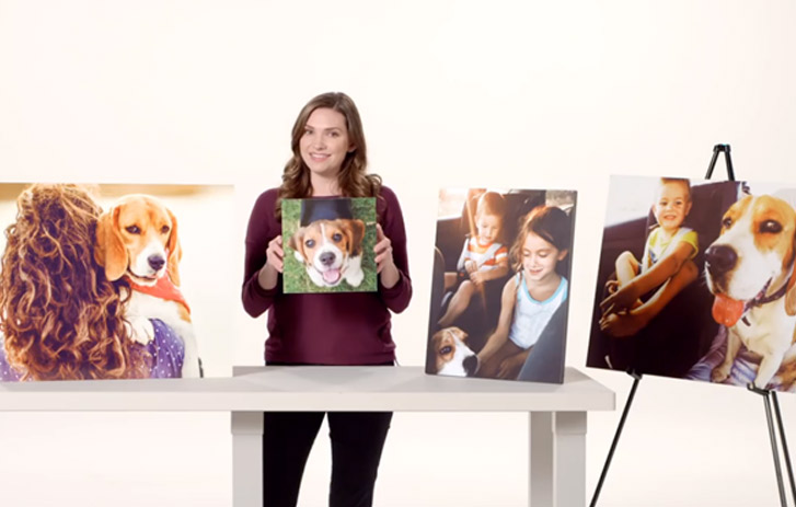 Plays Photo Posters Video