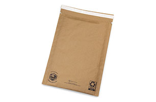 Recyclable Mailer 10.25x15