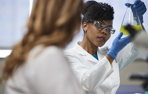 A chemist views the liquid contents of a conical flask