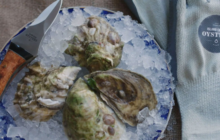 Island Creek Oysters: Smart Shipping with Integration Solutions