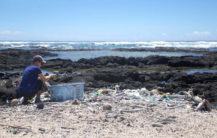 A photo of a woman gathering plastic from a beach in Hawaii