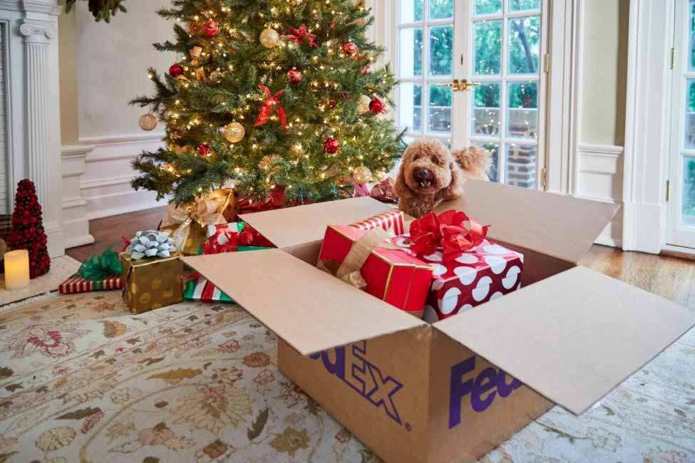FedEx Service Guide Home