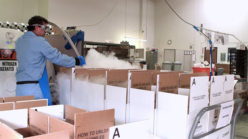 Deep Frozen Shipping Healthcare Solutions Fedex