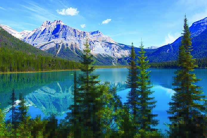 Shipping To Canada Fedex - 