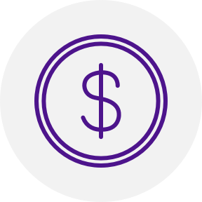 dollar sign icon