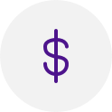 USD Currency icon
