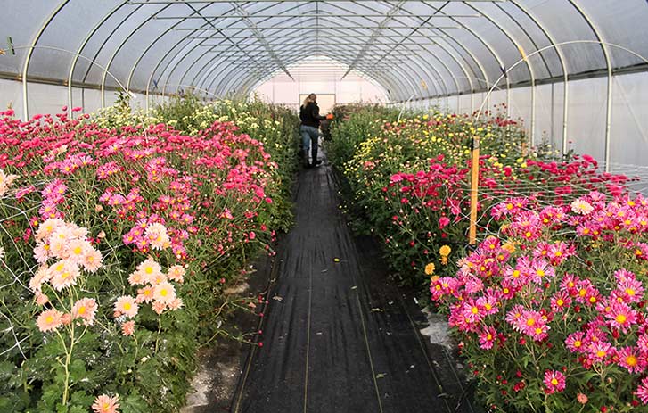 Small businesses creating a sustainable future