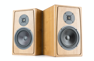 Image of 2 large speakers.