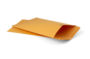 clasp envelope 10x15