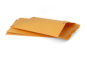 clasp envelopes 10x13