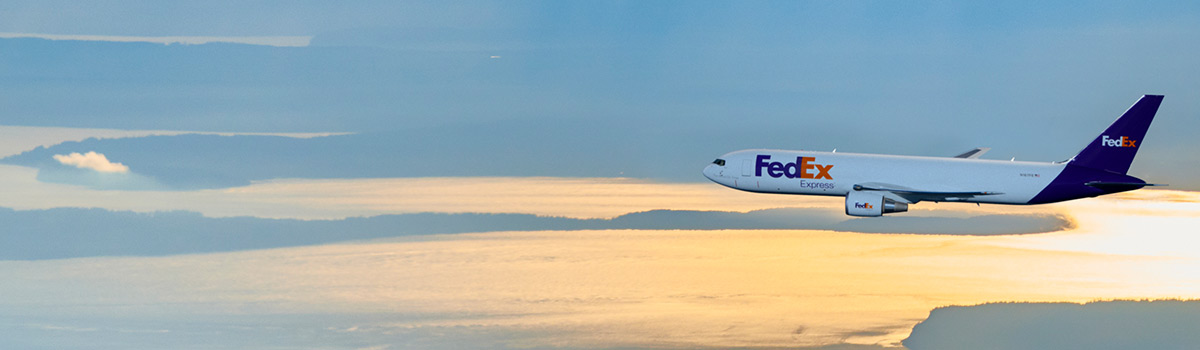 FedEx plane in the sky