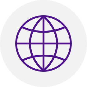 globe icon