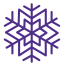 snowflake icon